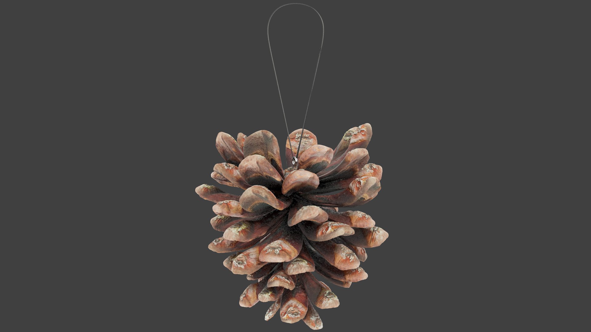 3D DIY Christmas Tree Toys Collection V1 https://p.turbosquid.com/ts-thumb/q6/SPGCju/JG/cctt1_002/png/1700880859/1920x1080/fit_q87/04a4885a391b6921297e8f4a31a56481703e72a0/cctt1_002.jpg
