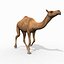 Pro Camel 8K - 3d animated model 3D model