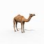 Pro Camel 8K - 3d animated model 3D model