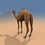 Pro Camel 8K - 3d animated model 3D model