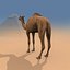 Pro Camel 8K - 3d animated model 3D model
