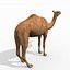Pro Camel 8K - 3d animated model 3D model