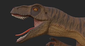 Velociraptor