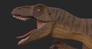Velociraptor