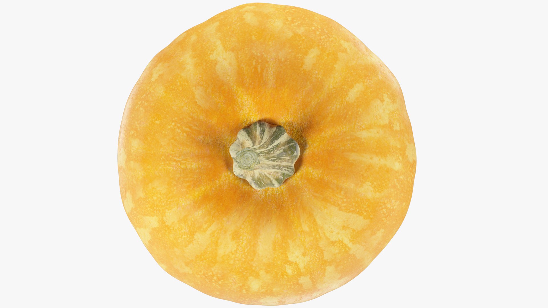 Pumpkins Collection V5 3D model https://p.turbosquid.com/ts-thumb/q6/ijgABU/Hu/p4_004_006/png/1701134800/1920x1080/fit_q87/9dad30a4a8baf3a37295dd4ad9de624ca902b7d8/p4_004_006.jpg