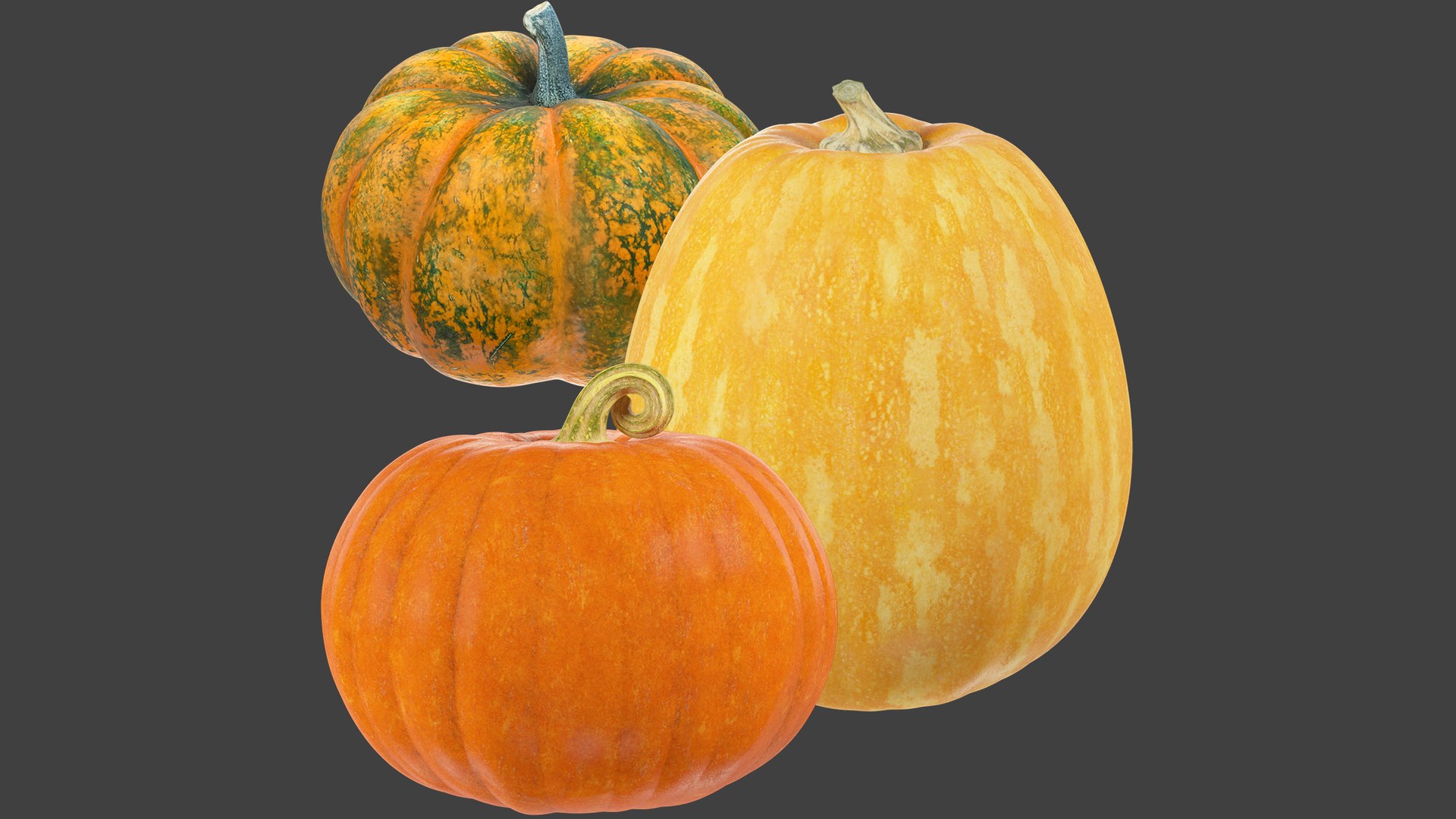 Pumpkins Collection V5 3D model https://p.turbosquid.com/ts-thumb/q6/ijgABU/NO/pc5_003/png/1701133893/1920x1080/fit_q87/ec38ff131c34f50004f9e5c3a4e142ec60fc0b8a/pc5_003.jpg