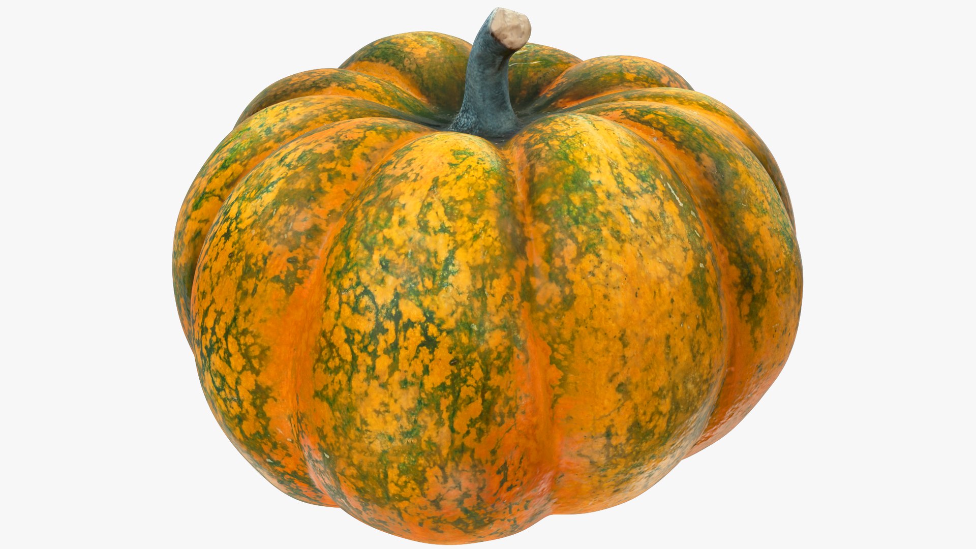 Pumpkins Collection V5 3D model https://p.turbosquid.com/ts-thumb/q6/ijgABU/hJ/p7_004_006/png/1701135577/1920x1080/fit_q87/8ce7e72346e336192843a840ccd3262fd376f999/p7_004_006.jpg