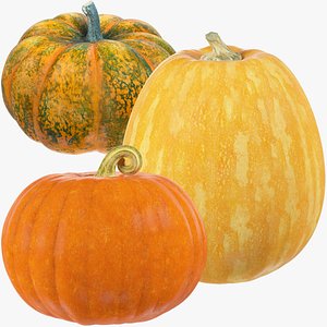 Pumpkins Collection V5 3D model