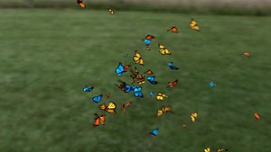 r20 butterfly animation 3D