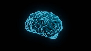 Brain sci fi shader