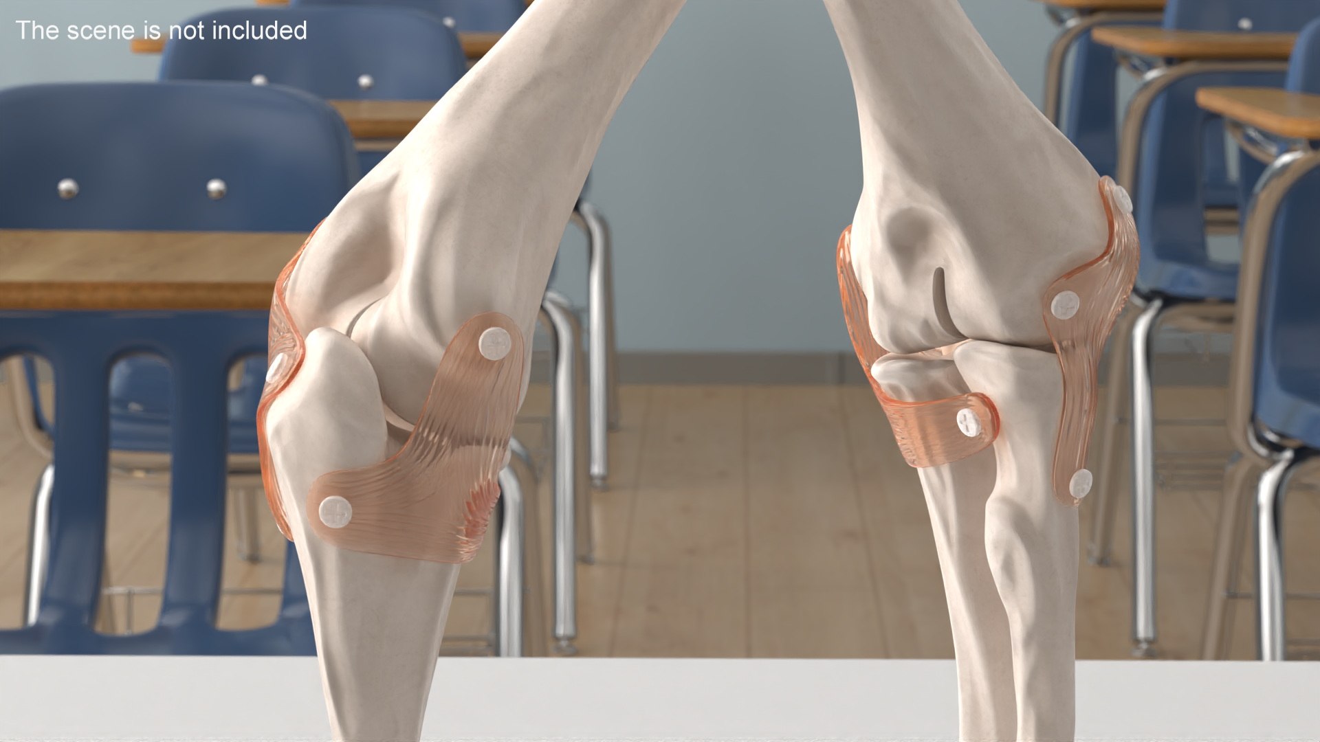 Elbow Joint Rigged 3D Model - TurboSquid 2287713