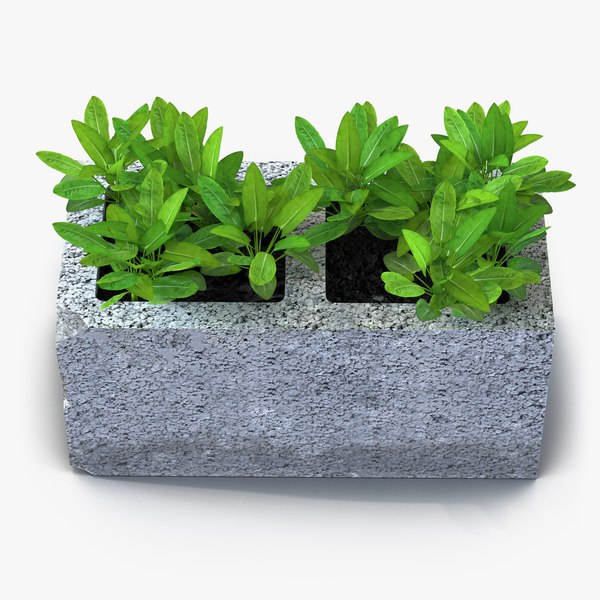 cinder block garden 2 c4d