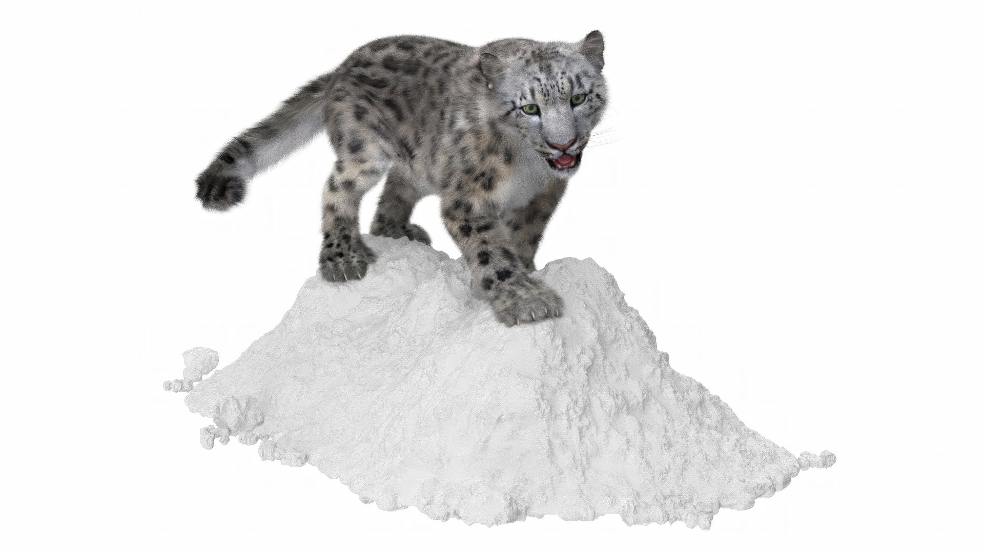Snow Leopard on Snowy Mound Fur 3D model https://p.turbosquid.com/ts-thumb/q7/EdKLOm/bU/snow_leopard_on_snowy_mound_fur_005/jpeg/1735572430/1920x1080/fit_q87/0cf2d1d4b52d0259bcdb7648cda1c0576ff2ecb1/snow_leopard_on_snowy_mound_fur_005.jpg