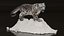 Snow Leopard on Snowy Mound Fur