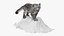 Snow Leopard on Snowy Mound Fur
