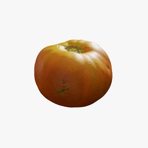 3D Anydrafts Lycopersicon esculentum 02 model
