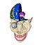 3d anatomical human skull brain