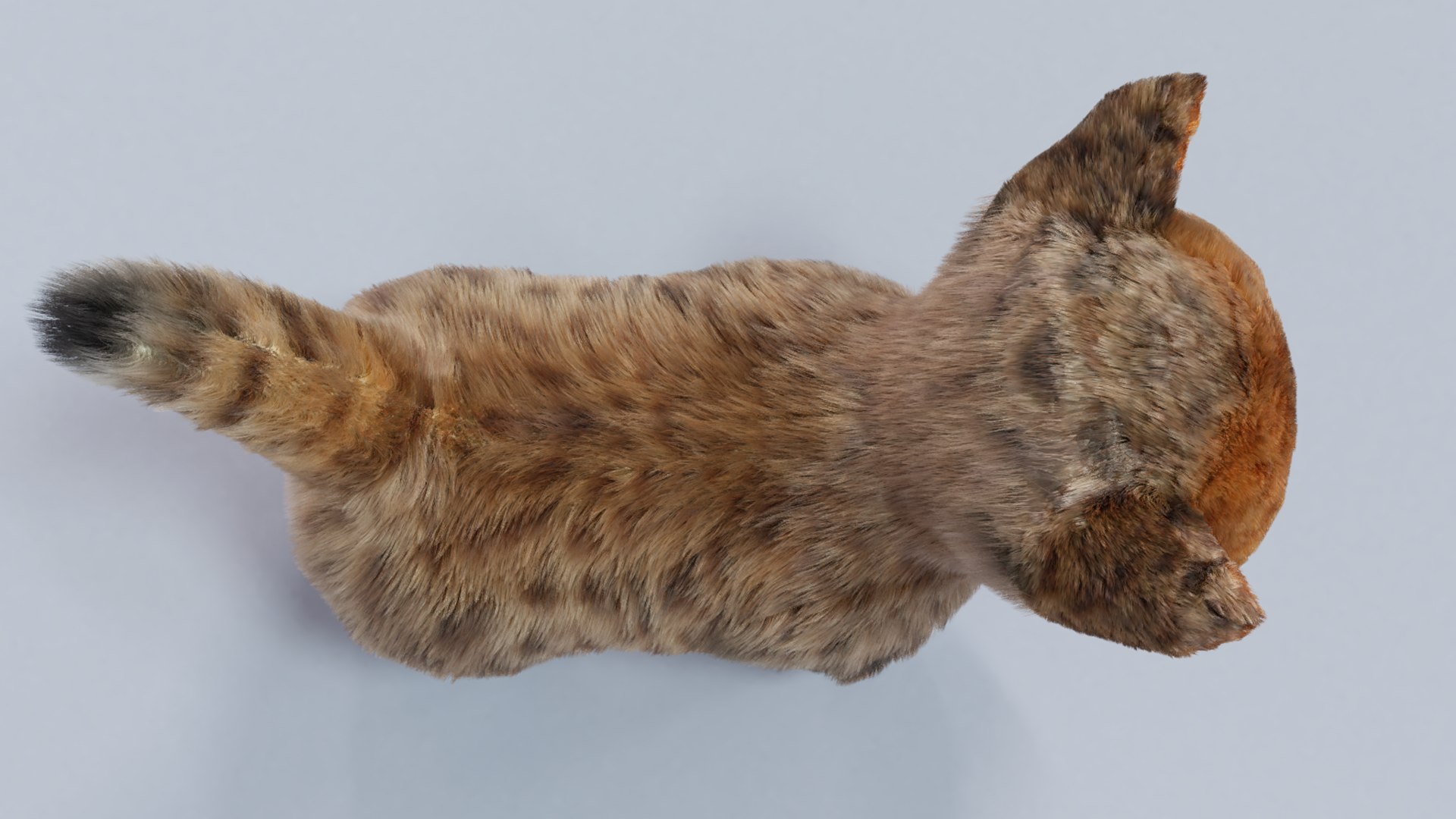 cute hair fur cat 3D model https://p.turbosquid.com/ts-thumb/q7/h2RBWJ/Ks/0001/png/1615912938/1920x1080/fit_q87/3453f8af25133b9bdd15a1037979b38d27684f0c/0001.jpg