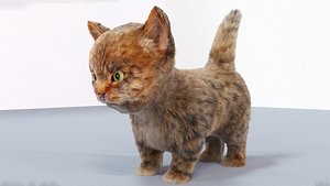 cute hair fur cat 3D model