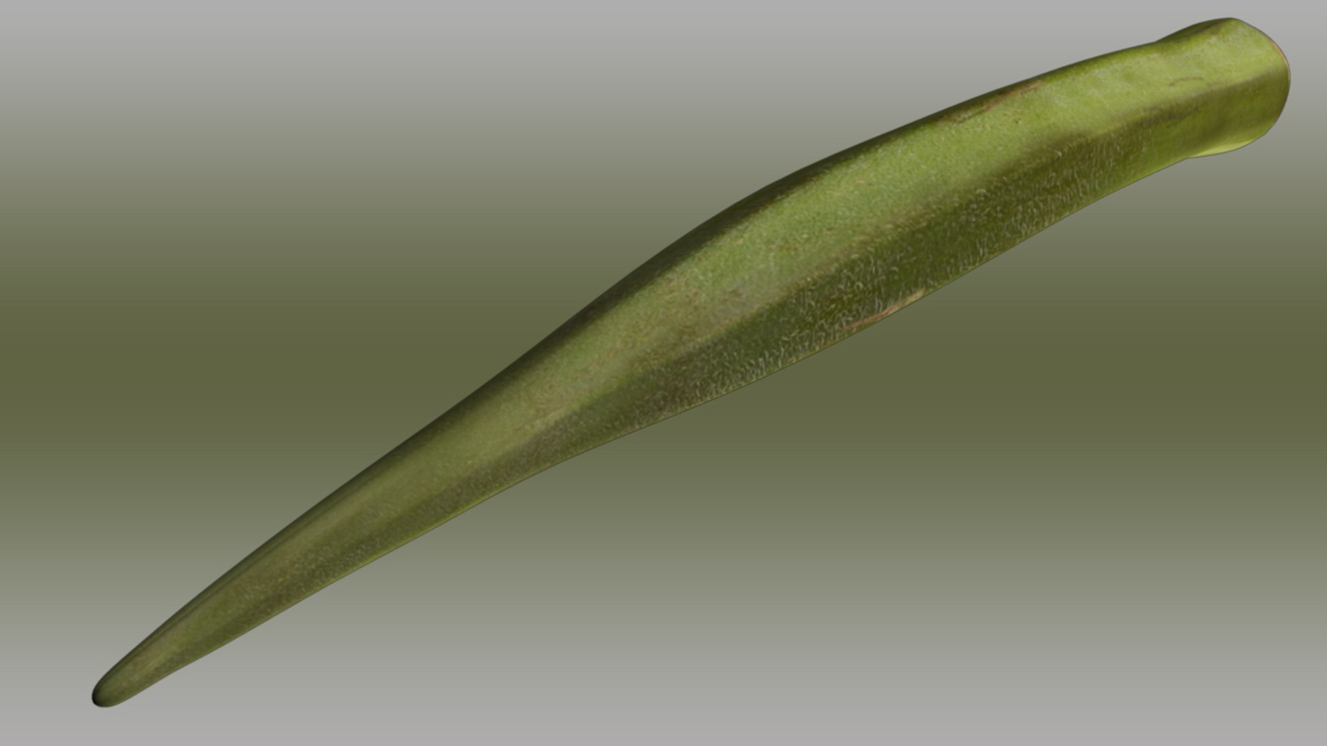 3d model okra abelmoschus esculentus https://p.turbosquid.com/ts-thumb/q7/kyX3eW/GByDsd9e/abelmoschusesculentus_04/jpg/1417156459/1920x1080/fit_q87/6e138604f72e8c3125f1530ce47768537d300059/abelmoschusesculentus_04.jpg