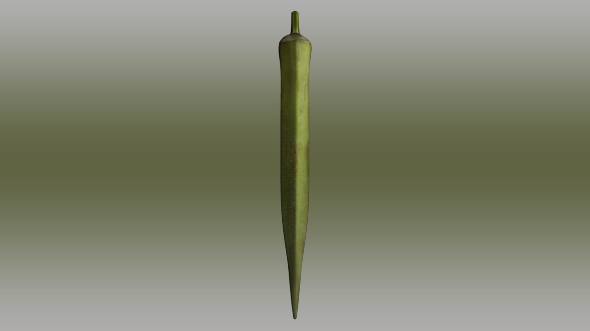 3d model okra abelmoschus esculentus https://p.turbosquid.com/ts-thumb/q7/kyX3eW/tUmvtWzC/abelmoschusesculentus_02/jpg/1417156487/1920x1080/fit_q87/b29dcf572d0f30bef2b4483fddcc2b45327003d6/abelmoschusesculentus_02.jpg