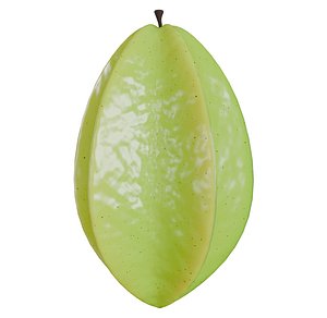 Carambola and Star Fruit PBR 2