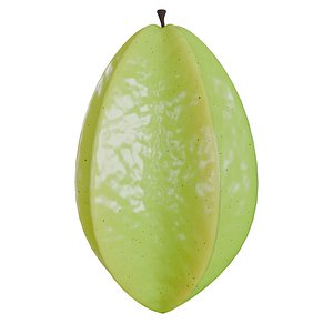 Carambola and Star Fruit PBR 2