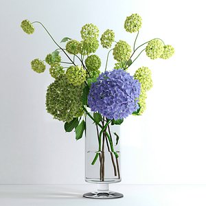 realistic viburnum hydrangea flowers ma