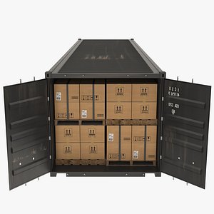 Shipping Container with Cardboard Box