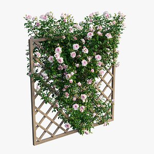 3D rose plant set 12 model
