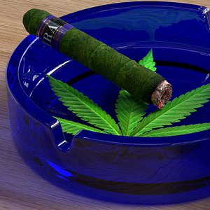 Leira Cannabis Cigar Burning