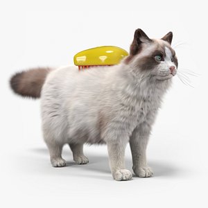3D Long Hair Cat Grooming Brush Yellow Fur for Cinema 4D model