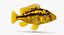 3d model haplochromis sauvagei cichlid
