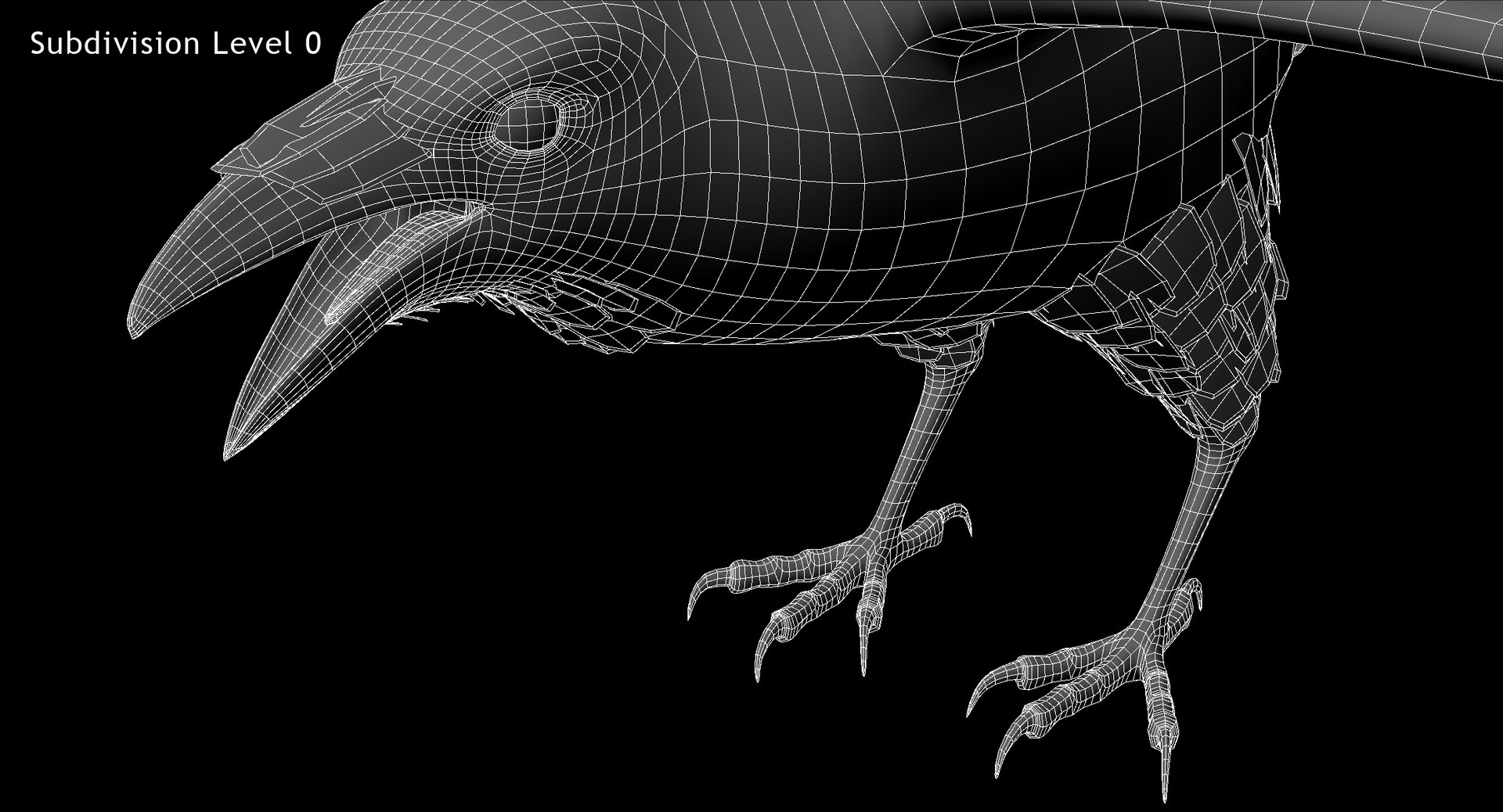 3d model chihuahuan raven animation flying https://p.turbosquid.com/ts-thumb/q8/HJlNh4/7rEoFmpC/w05/jpg/1489739195/1920x1080/fit_q87/7d1675de37e79b85eae5bdf9092533efc13daa48/w05.jpg