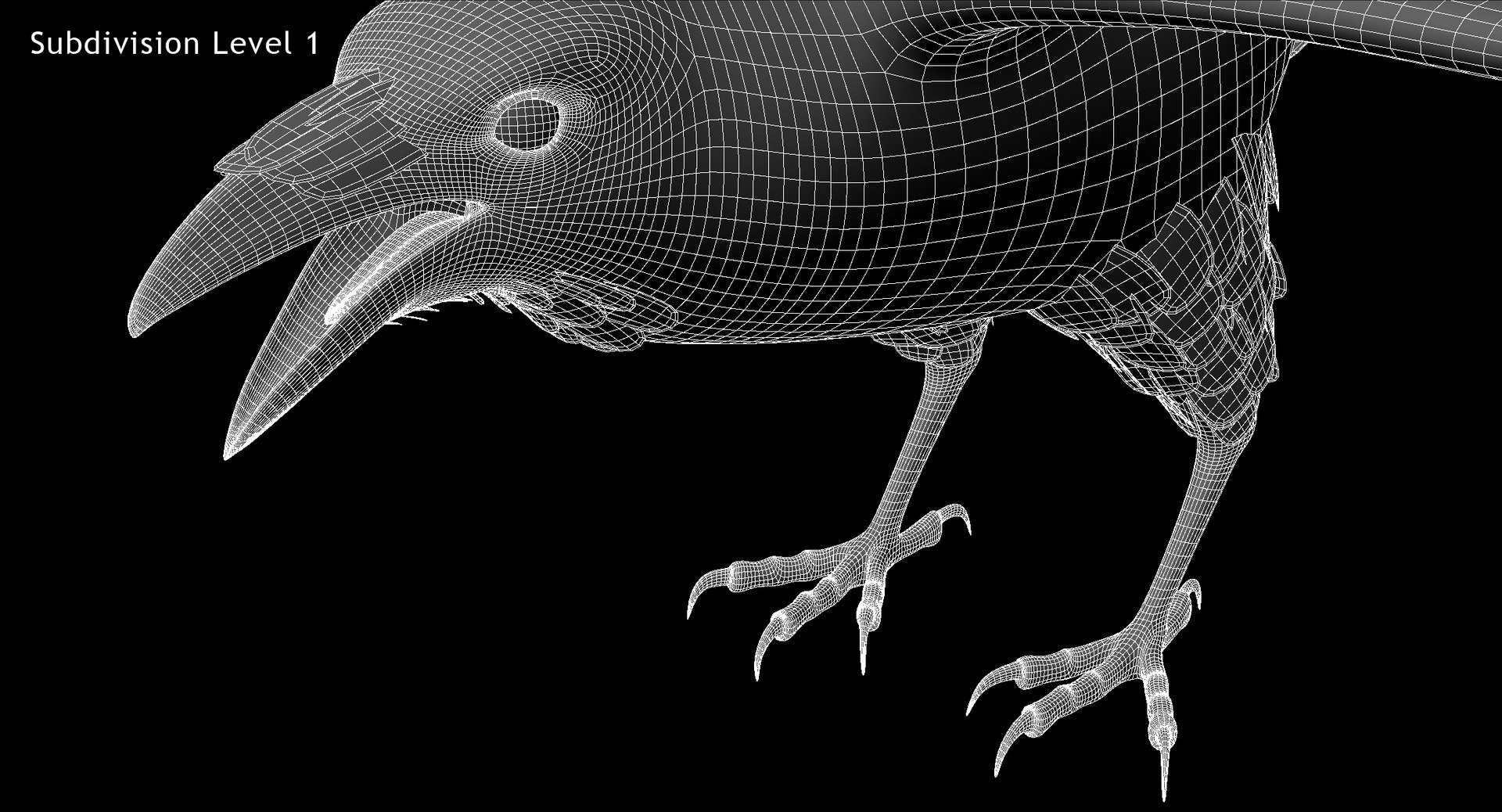 3d model chihuahuan raven animation flying https://p.turbosquid.com/ts-thumb/q8/HJlNh4/J4EhqSNN/w06/jpg/1489739195/1920x1080/fit_q87/fced7b4aa7fa09d081608b304ec8402010ba8262/w06.jpg