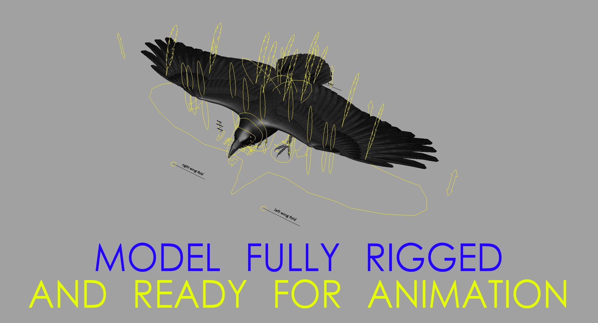 3d model chihuahuan raven animation flying https://p.turbosquid.com/ts-thumb/q8/HJlNh4/oPcBlGd1/rigged_wide/jpg/1489681204/1920x1080/fit_q87/c5779e083636f61ec93e8111298ee5bbe457be67/rigged_wide.jpg