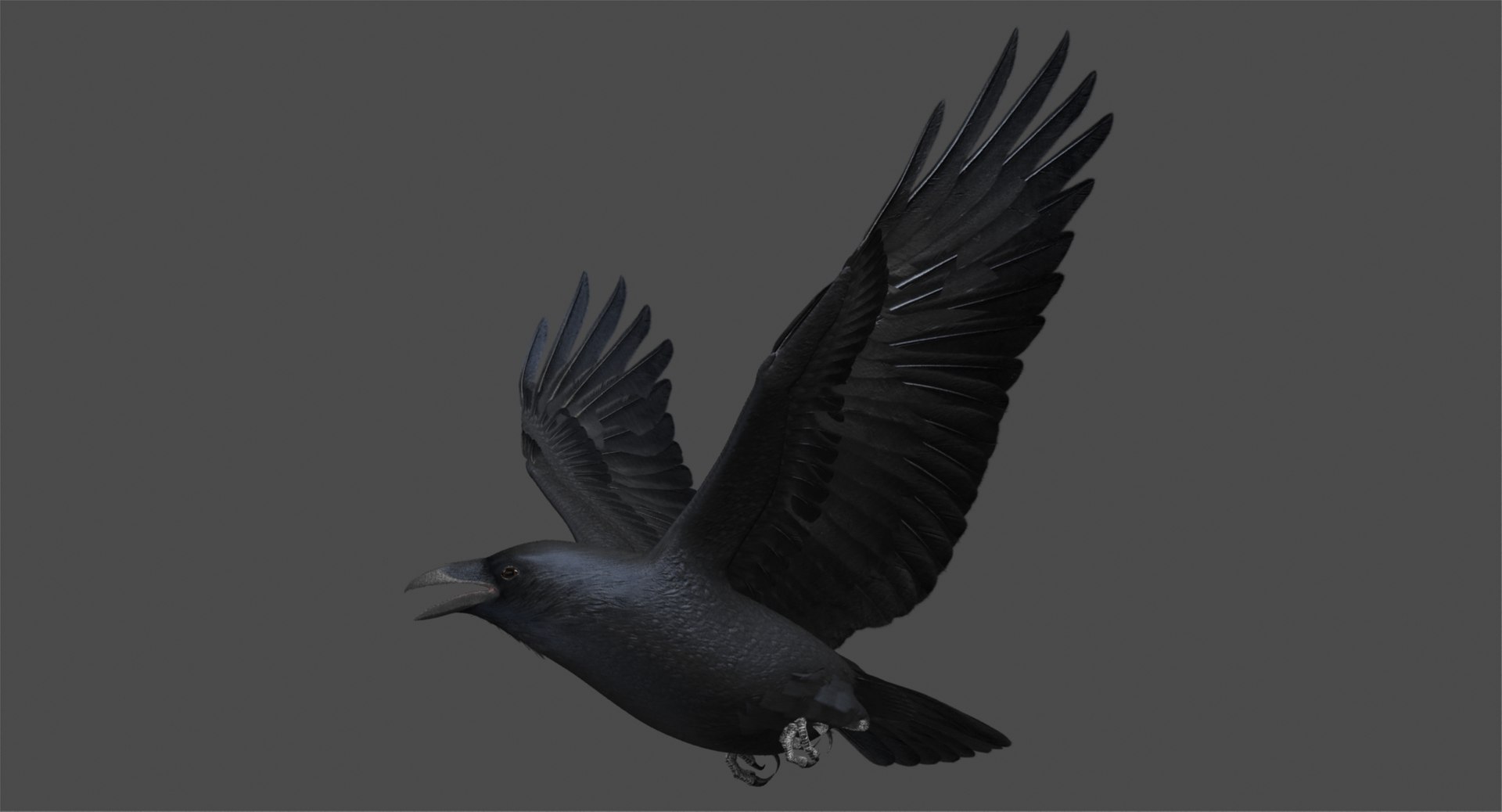 3d model chihuahuan raven animation flying https://p.turbosquid.com/ts-thumb/q8/HJlNh4/yaYyg5f7/r01/jpg/1489739041/1920x1080/fit_q87/7bf6bf9c58c62176c9e6d178b9383e0d37108161/r01.jpg