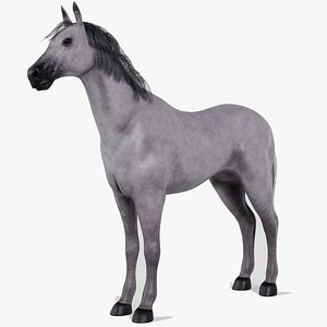 Low Poly Horse 3D model