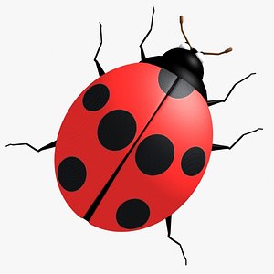 ladybug bug 3d max
