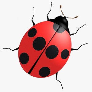 3D illustration lady bug in nature set 21596601 PNG