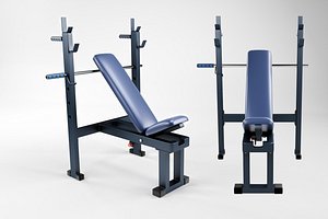 Gym Bench with Squat Stand