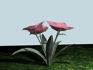 3ds max annual phlox