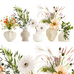 Collection small bouquets poppy chamomile lavender 3D