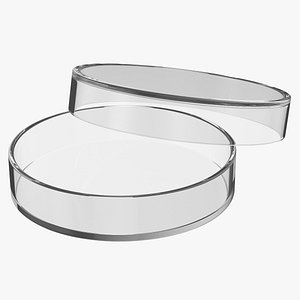 3D Petri Dish Large model