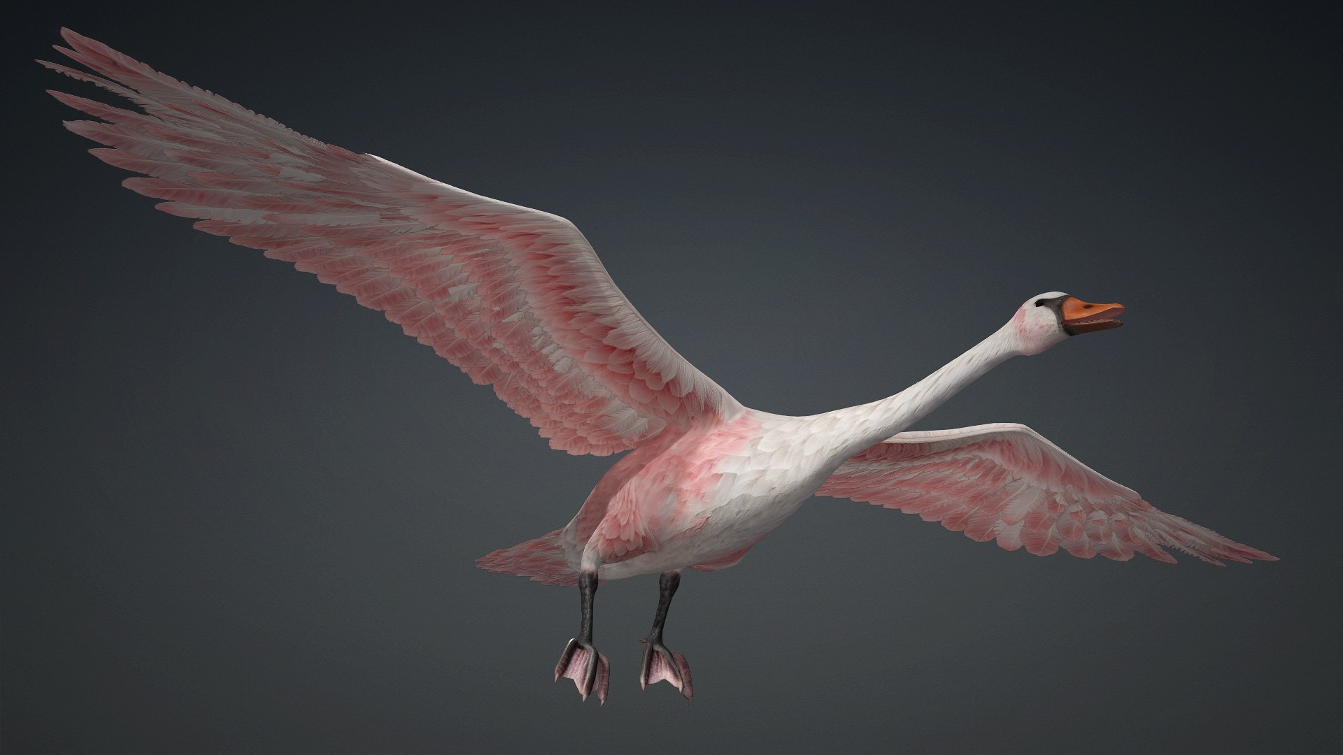 Cygnus-A3 3D model https://p.turbosquid.com/ts-thumb/q9/gADBYm/0L/preview4/jpg/1793328587/1920x1080/fit_q87/dcc0b6001b2ed65eb904ab2553f77c87977191db/preview4.jpg