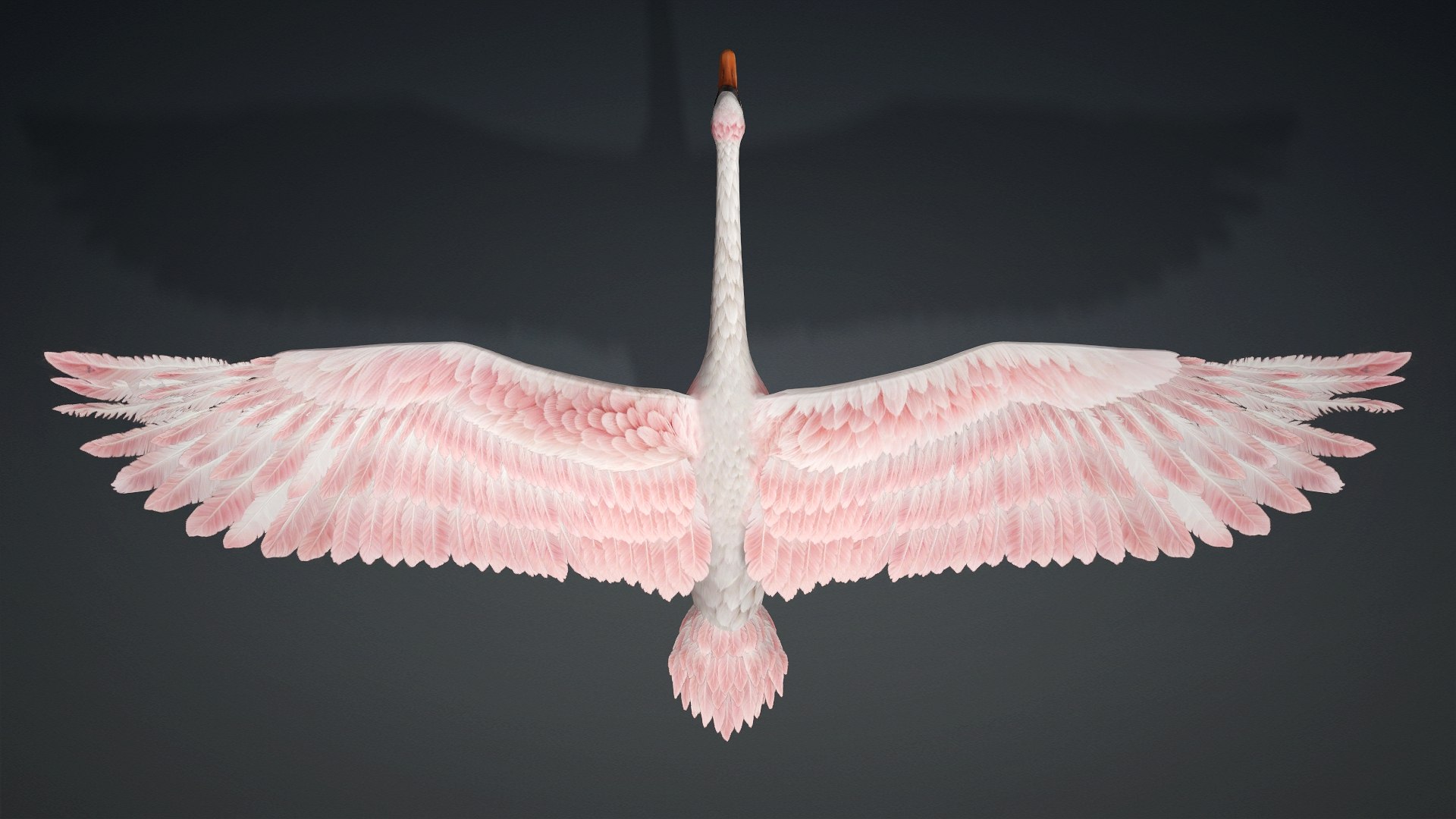 Cygnus-A3 3D model https://p.turbosquid.com/ts-thumb/q9/gADBYm/1t/preview1/jpg/1793328584/1920x1080/fit_q87/23754173a593a37272722e2e45ed3e4cef4fd7d6/preview1.jpg