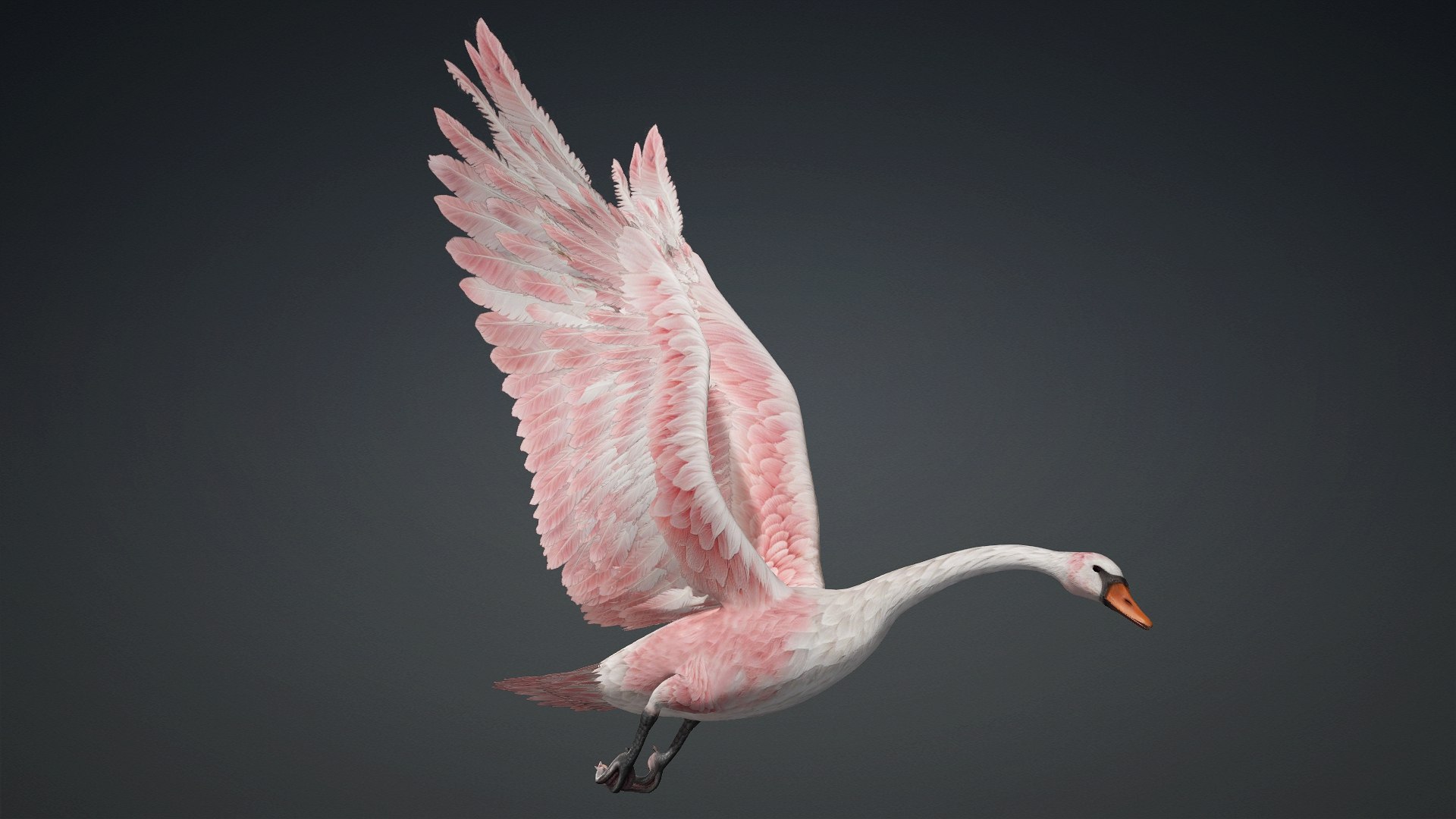Cygnus-A3 3D model https://p.turbosquid.com/ts-thumb/q9/gADBYm/2U/preview6/jpg/1793328588/1920x1080/fit_q87/54d346076e47175439dc4c8a83a79bfd6dab811d/preview6.jpg