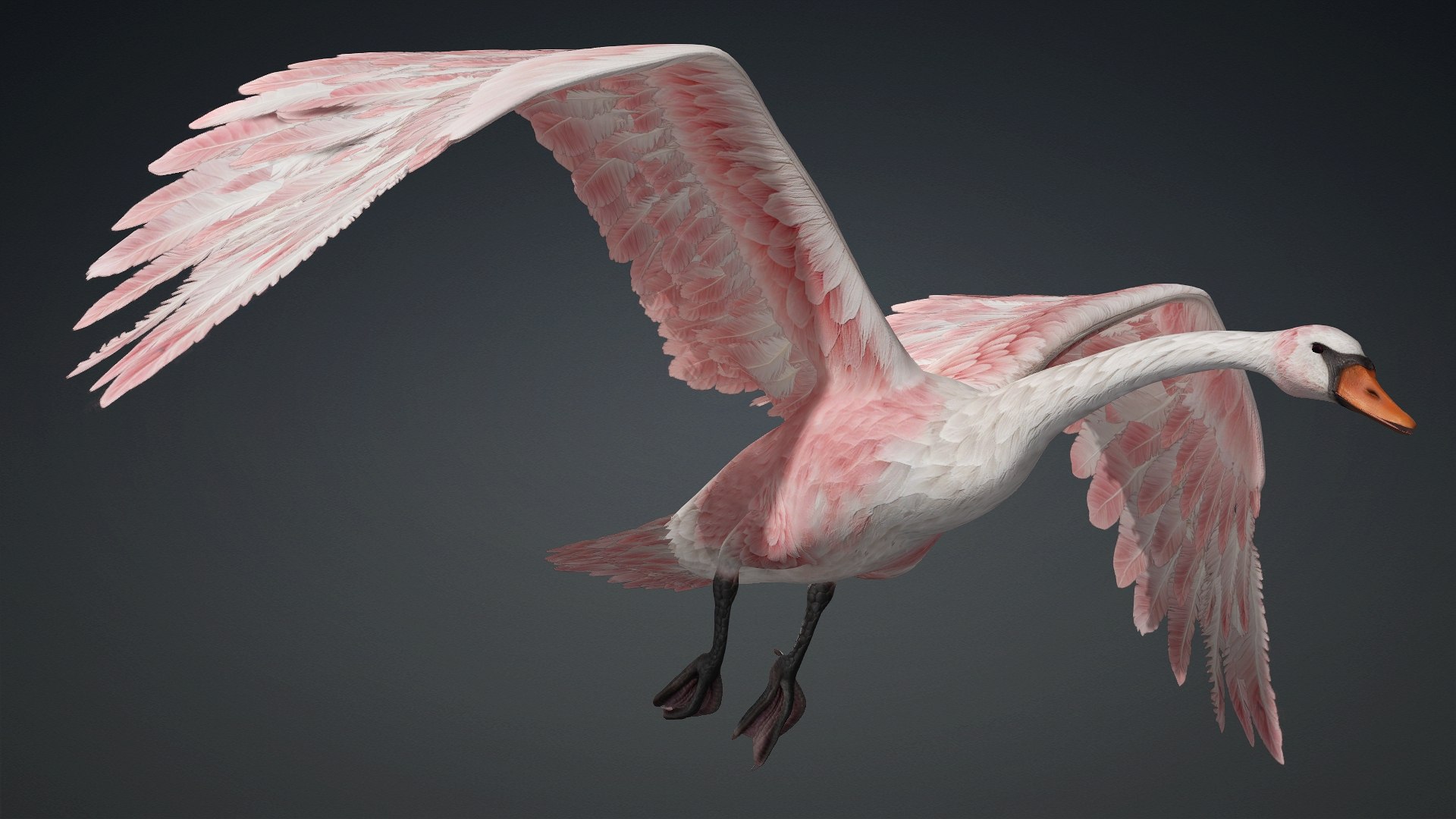 Cygnus-A3 3D model https://p.turbosquid.com/ts-thumb/q9/gADBYm/Ma/preview5/jpg/1793328588/1920x1080/fit_q87/27358944111586fc5be231639cb4cd3adbc8afb2/preview5.jpg