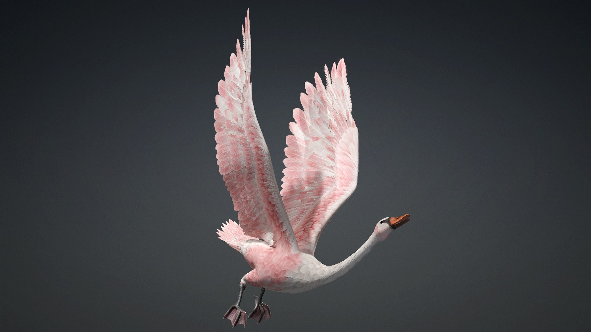 Cygnus-A3 3D model https://p.turbosquid.com/ts-thumb/q9/gADBYm/Xq/preview13/jpg/1793328591/1920x1080/fit_q87/5143ab29821642b6974eb7c5cd152bb5672d3455/preview13.jpg