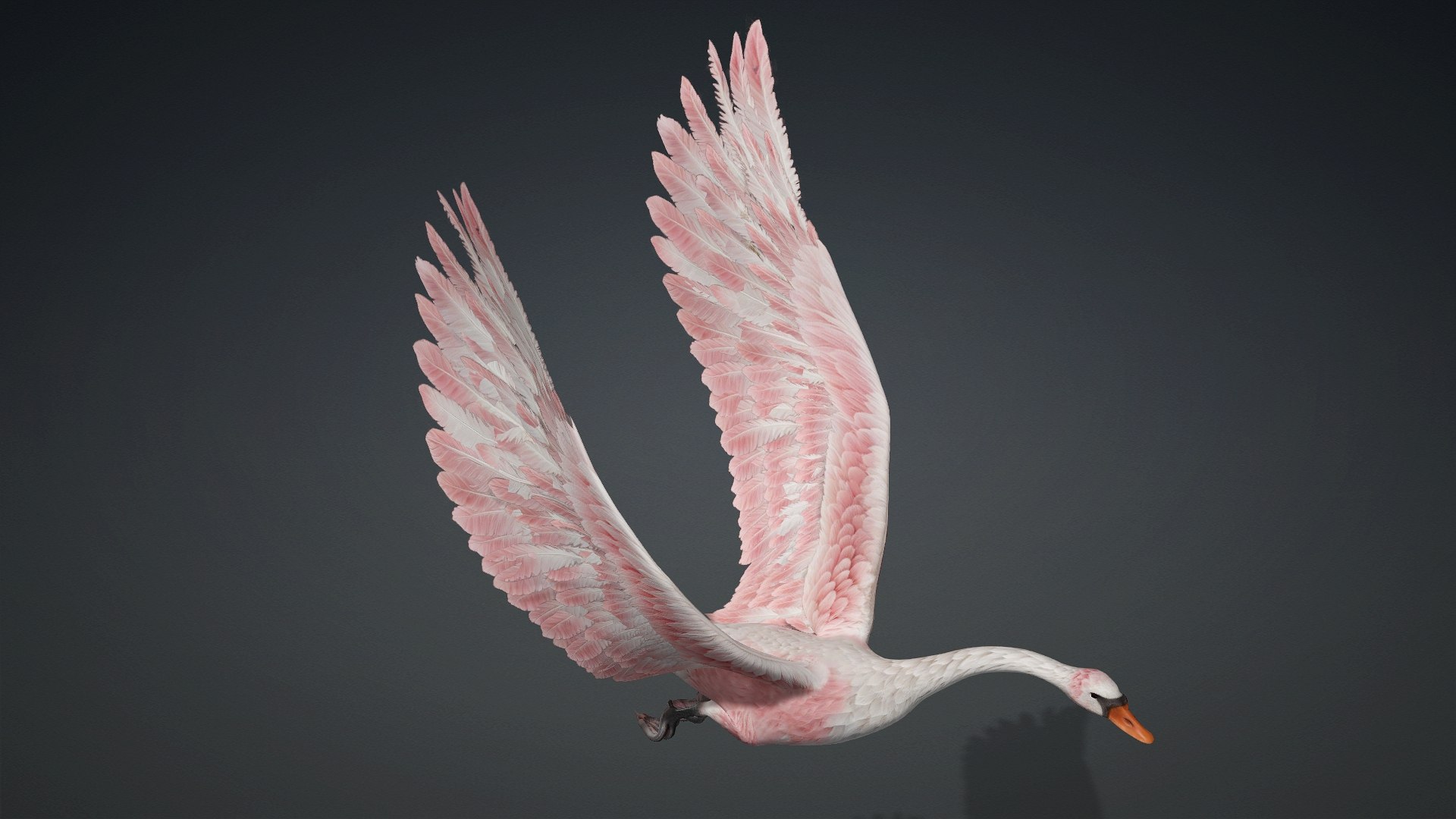 Cygnus-A3 3D model https://p.turbosquid.com/ts-thumb/q9/gADBYm/kv/preview9/jpg/1793328589/1920x1080/fit_q87/c8472df6cf58a1812373af212c474a894c7e65ef/preview9.jpg